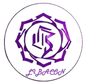 Libacon Mega Services Ltd logo